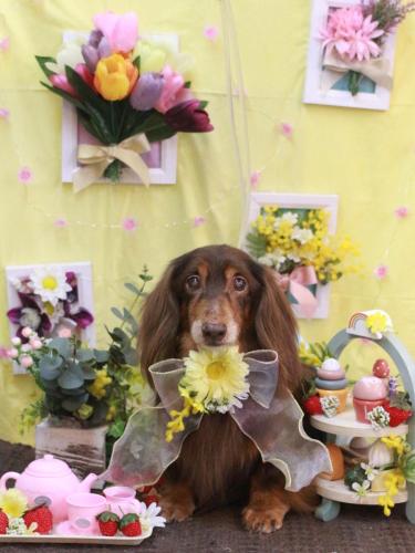 20230311チョロ松くん